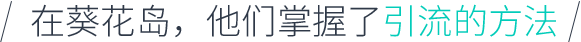 引流